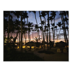 Palm trees and sunset print