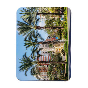 Palm trees around the Luceros roundabout, Alicante Magnet
