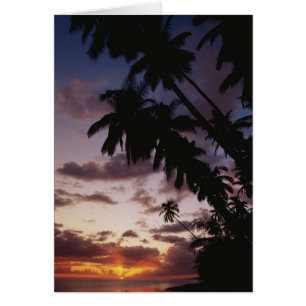 Palm Trees at sea