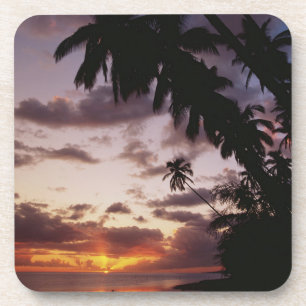 Palm Trees at sea Coaster