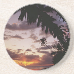 Palm Trees at sea Coaster