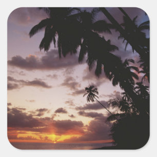 Palm Trees at sea Square Sticker