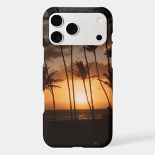 Palm Trees at Sunset