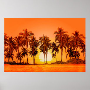 Palm trees at sunset background. Sri Lanka. Poster