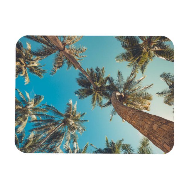 Palm Trees at Tropical Beach Vintage Magnet (Horizontal)