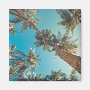 Palm Trees at Tropical Beach Vintage Magnet