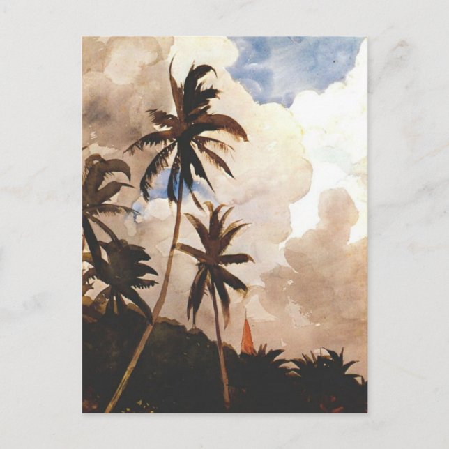 Palm Trees, Bahamas Postcard (Front)