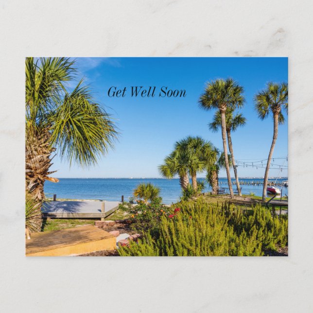 Palm Trees Bayside Morning Get Well Postcard (Front)