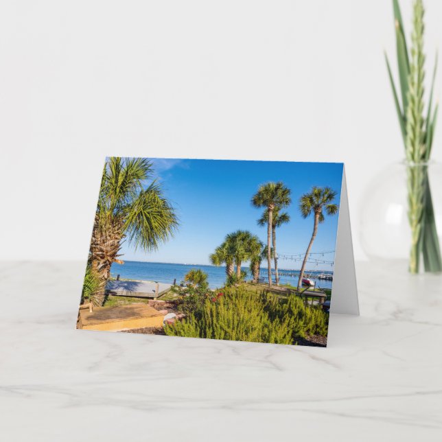 Palm Trees Bayside Morning Greeting Card (Front)