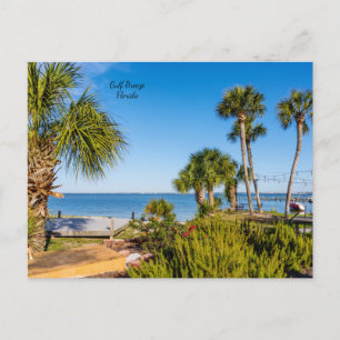 Palm Trees Bayside Morning Postcard