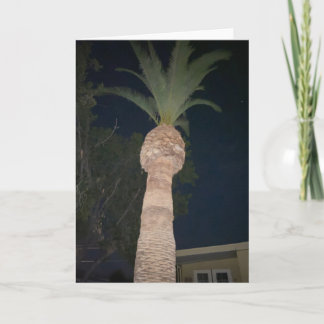 Palm Trees 🌴 Card