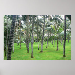 Palm Trees Forest Poster