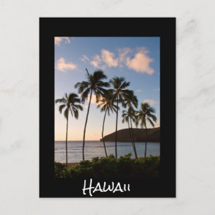 Palm trees Hawaiian sunrise with text Postcard