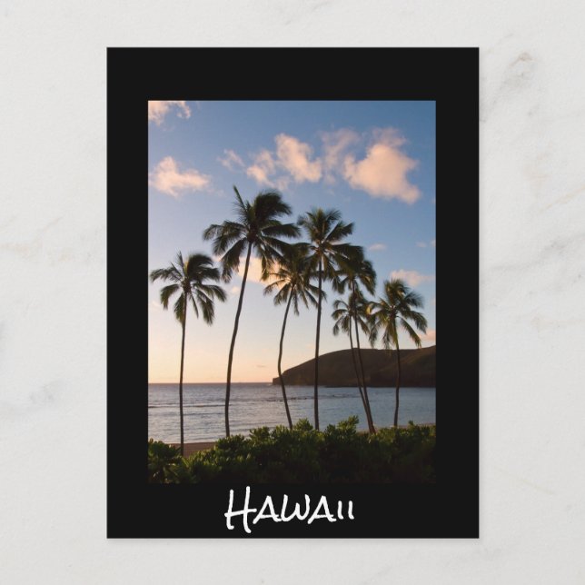 Palm trees Hawaiian sunrise with text Postcard (Front)