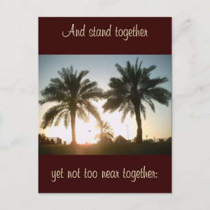 Palm trees in Doha Postcard