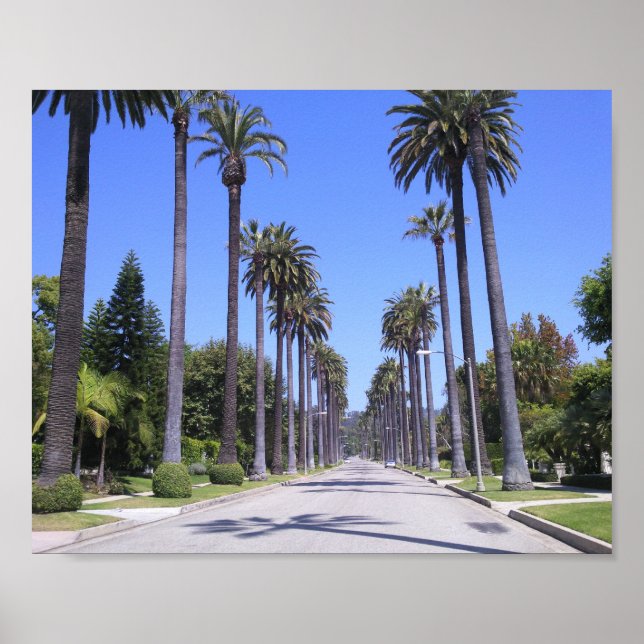 Palm Trees in Los Angeles Poster (Front)
