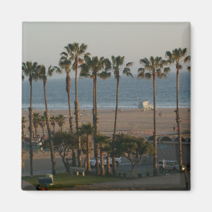 Palm Trees in Santa Monica Magnet