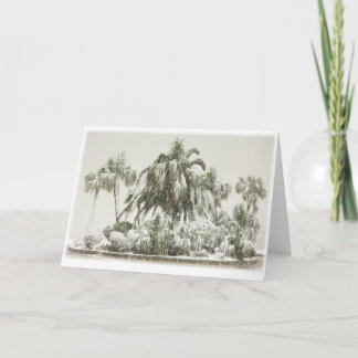 Palm Trees in the Snow Holiday Card