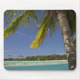 Palm trees & lagoon, Musket Cove Island Resort Mouse Pad