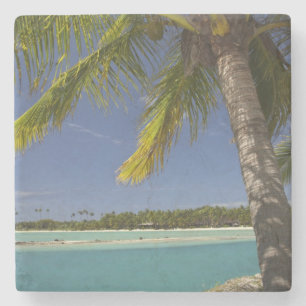 Palm trees & lagoon, Musket Cove Island Resort Stone Coaster