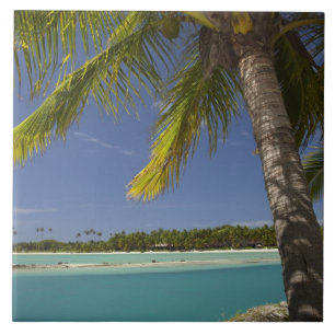 Palm trees & lagoon, Musket Cove Island Resort Tile