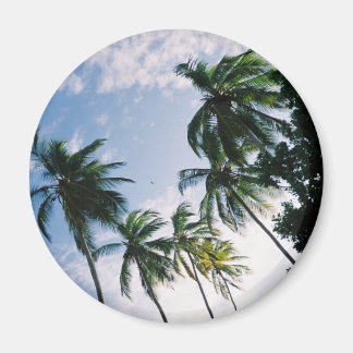 Palm trees Magnet