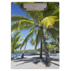 Palm trees, National Historic Park Pu'uhonua o
