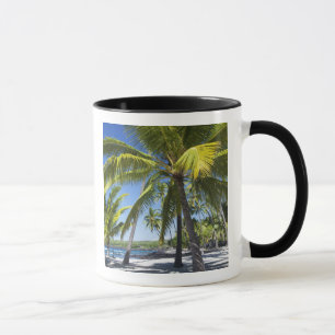 Palm trees, National Historic Park Pu'uhonua o Mug