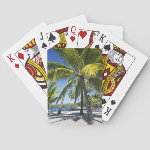 Palm trees, National Historic Park Pu'uhonua o Playing Cards