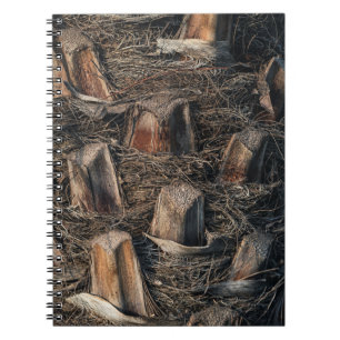 Palm Trees Notebook