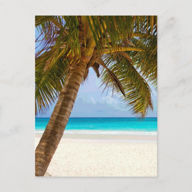 Palm Trees on Beach Blue Sea & Sky Postcard (Front)