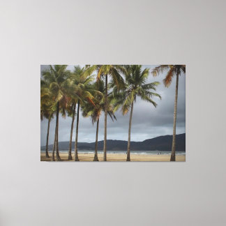 Palm trees on Gonzaga Beach, Santos, Brazil Canvas Print