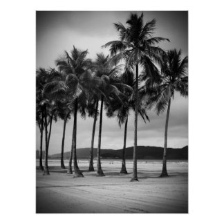 Palm trees on Gonzaga Beach, Santos, Brazil Poster