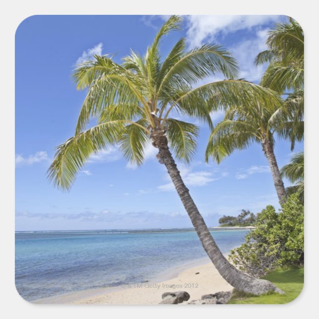 Palm trees on the beach in Hawaii. Square Sticker (Front)