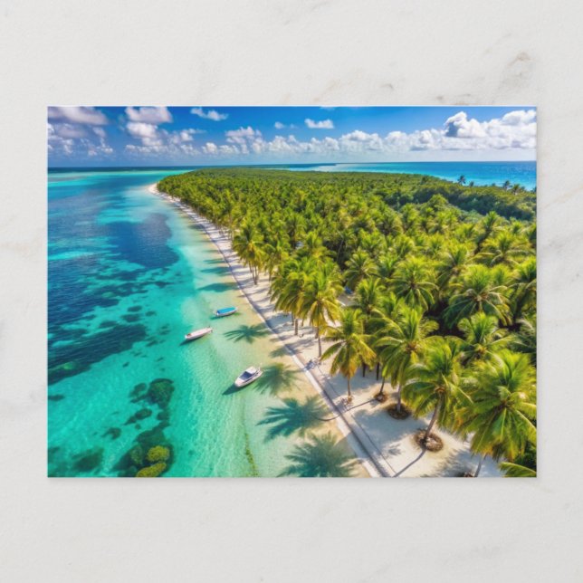 Palm Trees on the Beach of Isla Saona Postcard (Front)
