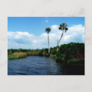 Palm Trees On The River Postcard