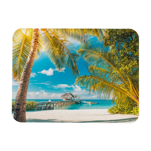 Palm Trees on the Sunset Magnet (Horizontal)