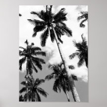 Palm trees poster