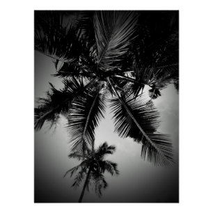 Palm trees poster
