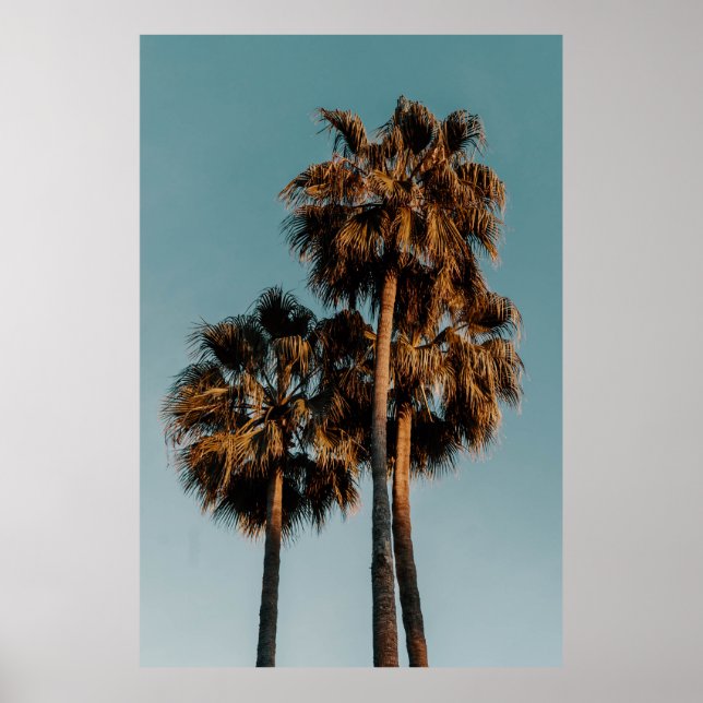 Palm trees poster (Front)