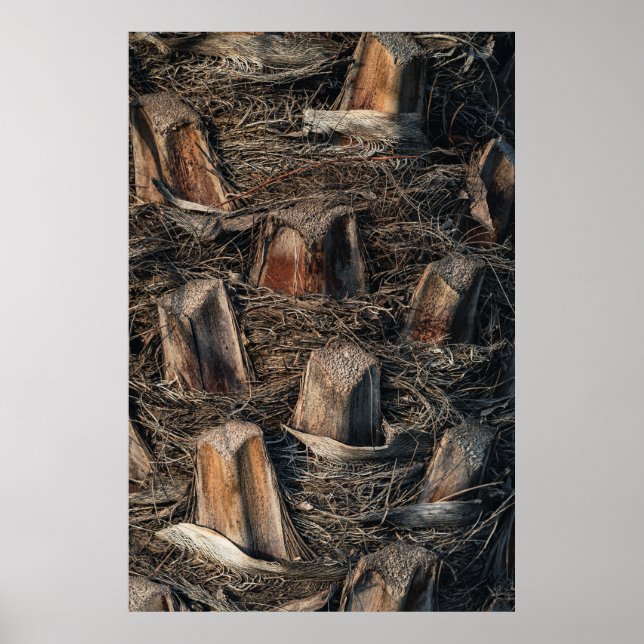 Palm Trees Poster (Front)