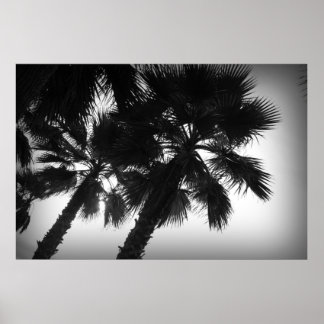 Palm Trees Poster