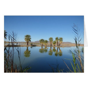 Palm Trees Reflected