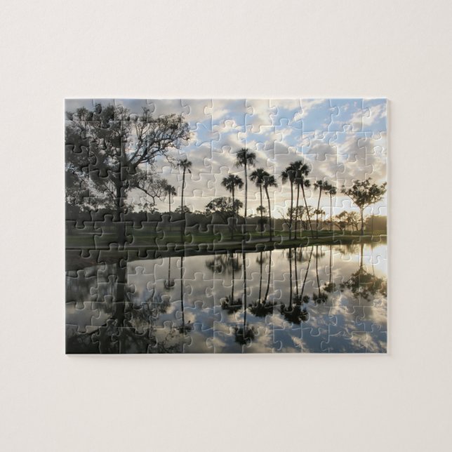 Palm Trees Reflection Puzzle (Horizontal)