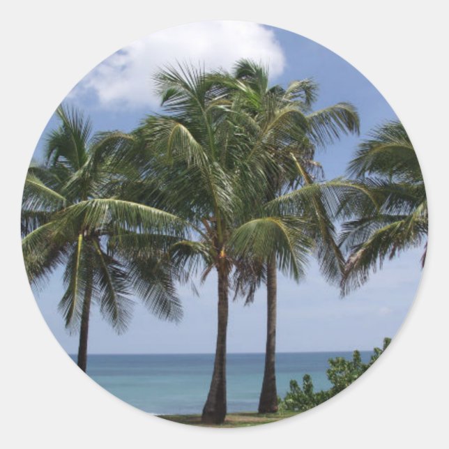Palm Trees sticker (Front)