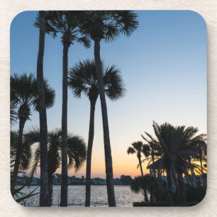 Palm Trees Sunrise Destin Florida Coasters Set 6