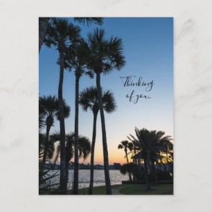 Palm Trees Sunrise Destin Florida Thinking Of You Postcard