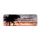 Palm Trees & Sunset