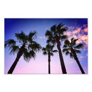Palm Trees Swaying At Christmas in Destin Florida Photo Print
