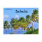 Palm Trees Swaying in Barbados